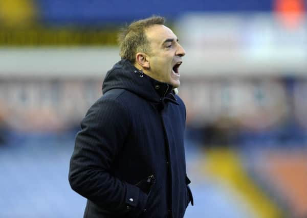 Owls head coach Carlos Carvalhal