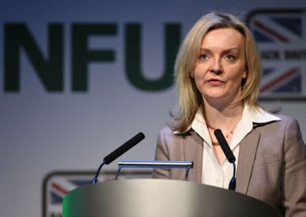 Environment Secretary Elizabeth Truss.   Pic: Joe Giddens/PA Wire