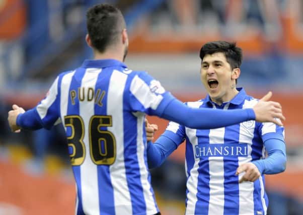 Owls' Fernando Forestieri celebrates his goal.