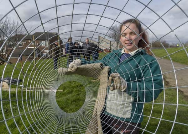 Date:29th February 2016. Picture James Hardisty. Residents, volunteers from local businesses and the Parks and Countryside Service came together and with the trees, training and support provided by Helping Britain Blossom1, started planting the first 50 trees of their proposed and possibly record breaking 100 tree community orchard on the Cottingley Hall Estate in Leeds. Pictured Vikki Blake, Cottingley In Bloom's Secretary helping on the project.