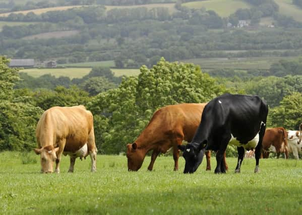 Up to 14,000 farmers are still waiting to receive their Basic Payment Scheme monies.   Pic: Ben Birchall/PA Wire.