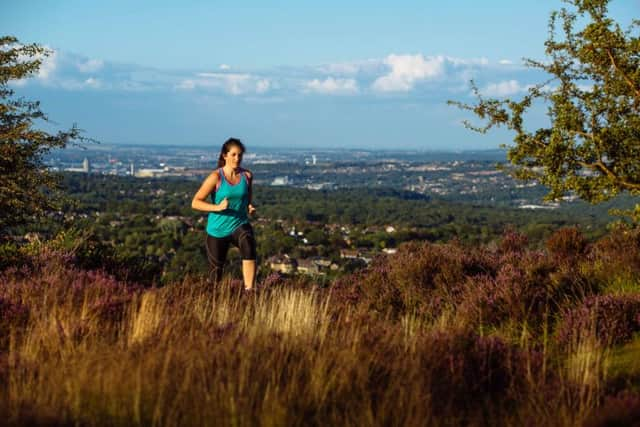 Runner over Blackamoor.Picture: duncan philpott