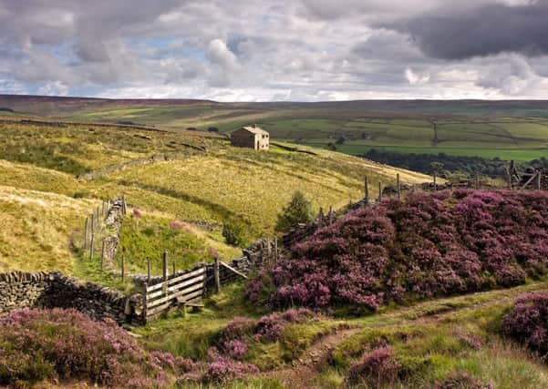 Widdop Moor looking out over to Shackleton Hill. CREDIT 
Chris Ogden