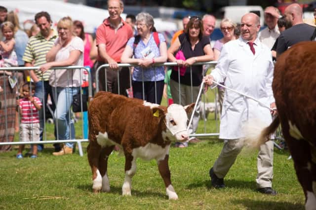 Todmorden Agricultural Show, Centre Vale Park, Todmorden