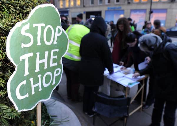 Tree campaigners outside Sheffield Town Hall. Picture: Andrew Roe