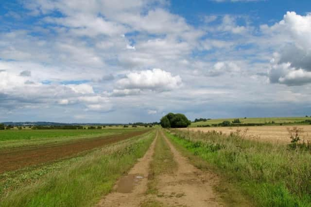 Between Winteringham and Alkborough