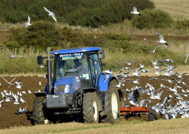 The very best plough men and women are heading to North Yorkshire for national and international competitions.