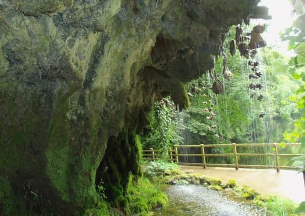 The calcifying pool at Mother Shiptons Cave proved an unexpected treat.