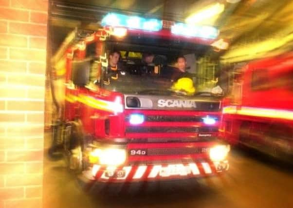 The man had to be rescued by firefighters after climbing up the tree to help a cat.