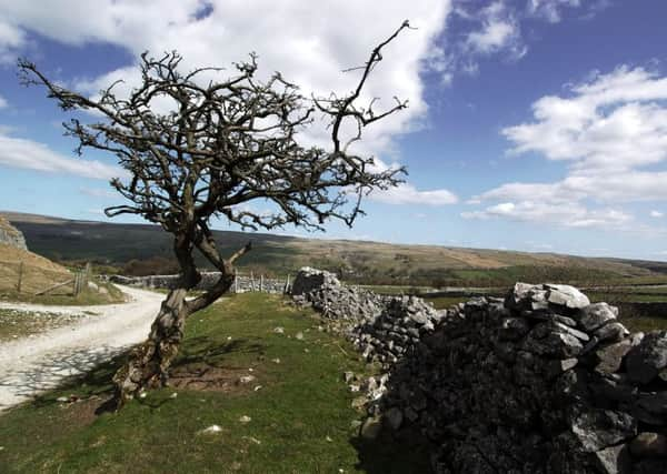 Some of Roger Ratcliffe's favourite 'green roads' run in and out of Wharfedale.  Pic: Bruce Rollinson.