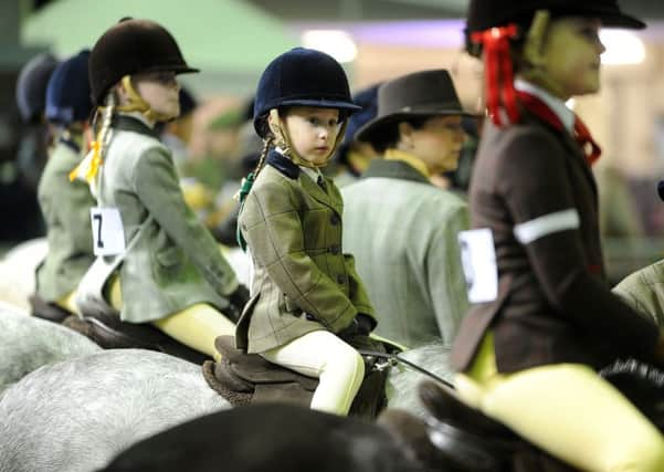 Equine classes were among the returning favourite features at the 14th Countryside Live held at the Great Yorkshire Showground in Harrogate.