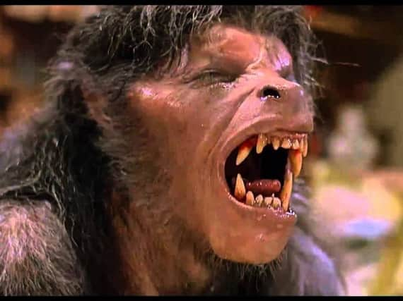 An American Werewolf in Hull?