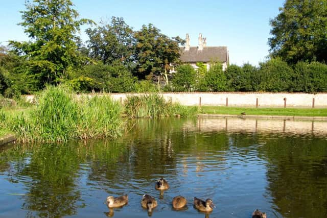 Brantingham Village Pond, starting point of the walk