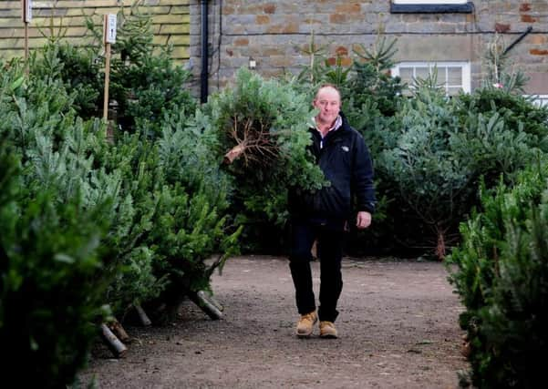 Mike Reynolds is ready for the big Christmas tree rush at Rudfarlington Farm.  Picture: Simon Hulme