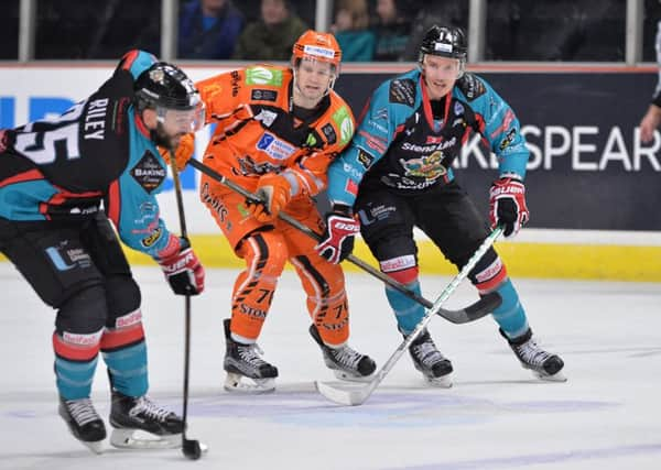 AWARD WINNER: Sheffield Steelers' Levi Nelson. Picture: Dean Wooley.