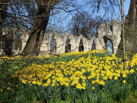 York Museum Gardens