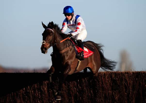 Clan Des Obeaux (white) ridden by Sean Bowen jumps the last on the way to winning The Fuller's London Pride Novices' Chase (Grade 2) (Registered As The Berkshire Novices' Chase) during The bet365 Festival at Newbury.