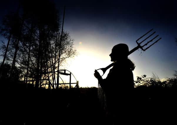 York Council officers will now devise detailed proposals for a community management model for the city's allotments.