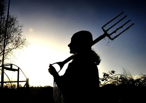 One of the allotment holders working on the Low Moor allotments holders  in York.