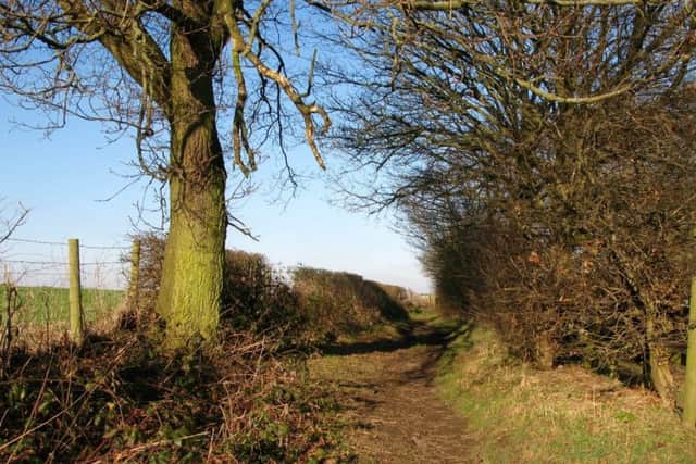 One of the many quiet paths near Whitley