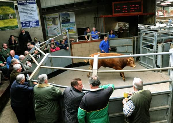 Almost all of Yorkshire's livestock marts are facing increases in the value of their rates bills from April 1.