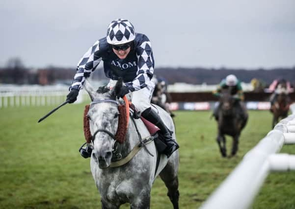 Ziga Boy ridden by jockey Tom Bellamy.