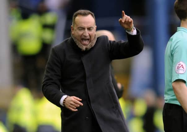 Carlos Carvalhal victory salute after 5-1 home win.