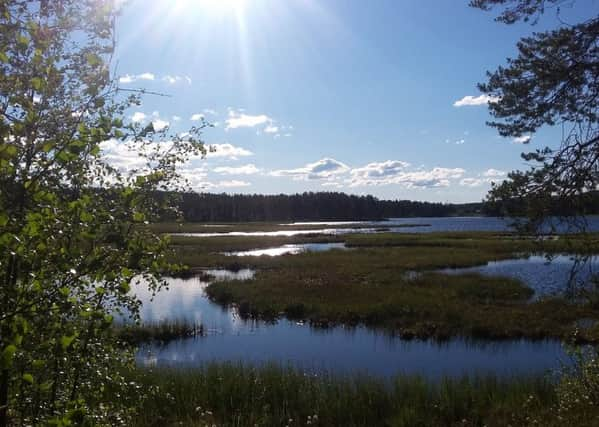 The lake at Jokkmokk.