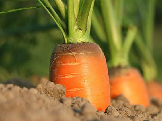 Are children learning bad eating habits?