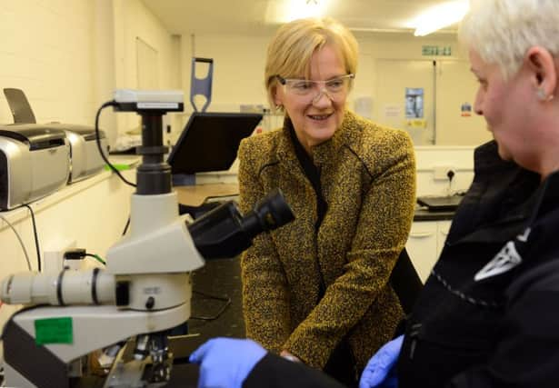 Yorkshire MEP Linda McAvan has emerged as a possible Labour candidate in Barnsley East