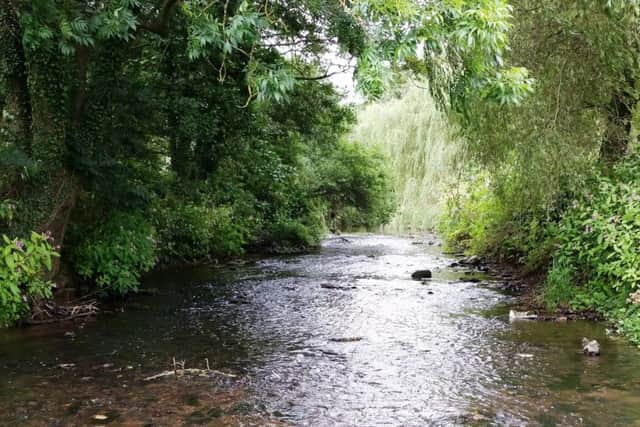 Cod Beck, the epitome of everything about small, intimate streams with riffles, glides and deep holes.