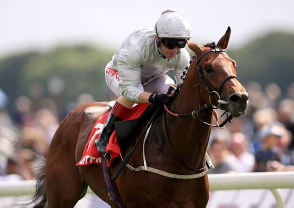 Permian ridden by jockey Franny Norton at York.