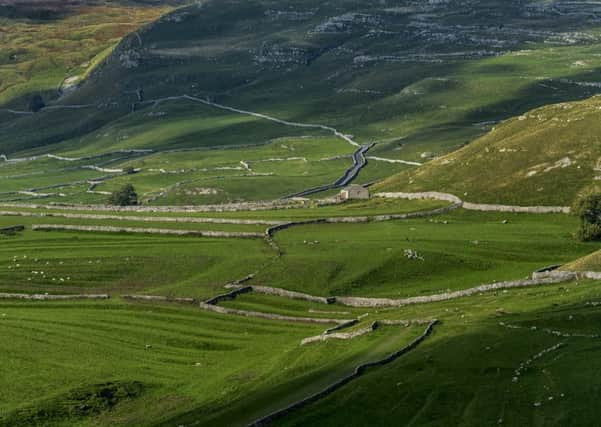 Members of the farming community are being urged not to suffer in silence. Picture by James Hardisty.