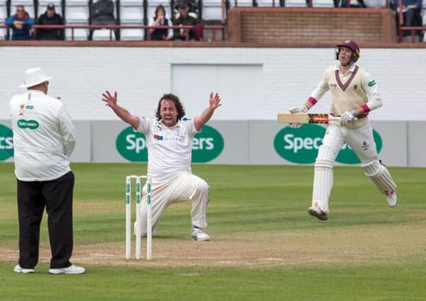 Got him: Ryan Sidebottom traps Jamie Overton leg before
Picture: John Heald