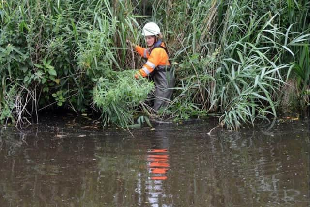 Ten years after the Sheffield floods that claimed two lives, a volunteer group has been meeting each week to clear the River Don of rubbish that contributed to the disastrous flooding.Pictured Rochelle Kent-Ellis.  Picture Scott Merrylees