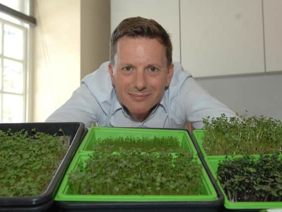 Urban farmer Steve Drew with some home-grown cress. Picture: Adrian Murray