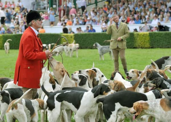 The parade of hounds at the Great Yorkshire Show. Picture: Gary Longbottom