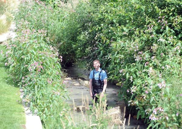 Dr Paul Gaskell, from the Wild Trout Trust, in Porter Brook pocket park. Picture Scott Merrylees.