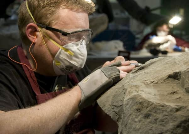 Technician Mark Mitchell prepping the Nodosaur. Picture: SWNS