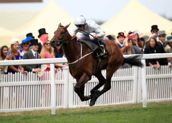 Permian ridden by Jockey William Buick wins the King Edward VII Stakes during day four of Royal Ascot in June.