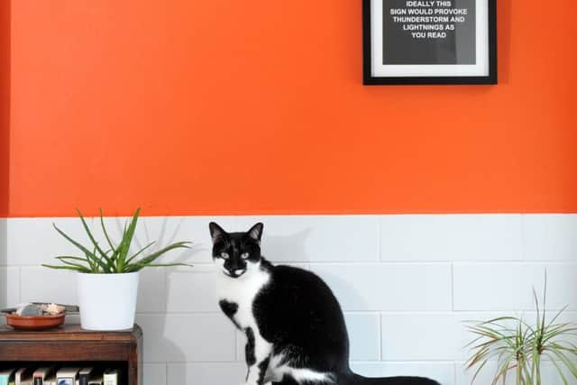 The shower room is much brighter since Lotte and Dan painted it in Charlotte's Locks  by Farrow and Ball.