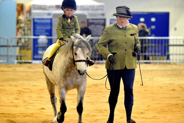 Aston Potter-Firth taking part in the Mountain Moorland Rein class at last year's Countryside Live in Harrogate.