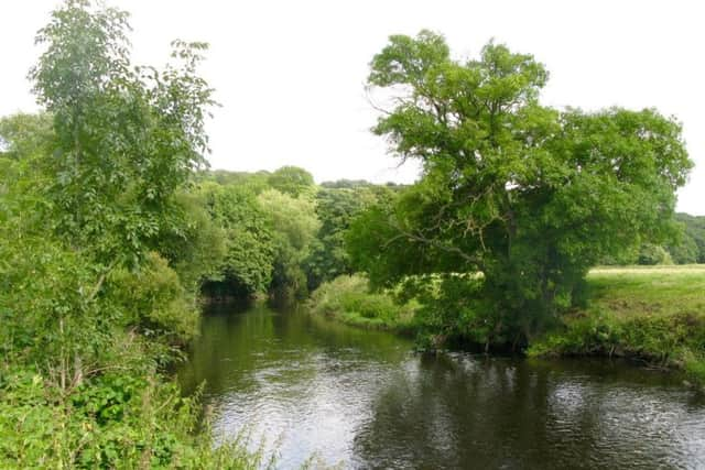 The River Aire near Cragg Wood