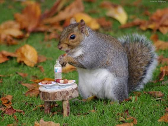 The squirrel tucks into tea.