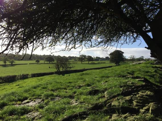 Saved? Part of the HM4 and 5 sites at Rowden Lane near Hampsthwaite which had been identified for new housing.