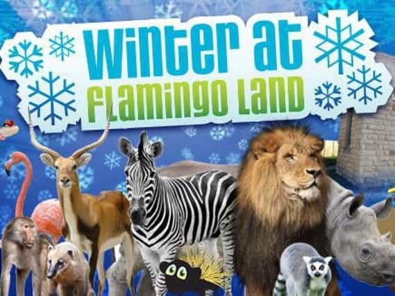 Winter At Flamingo Land