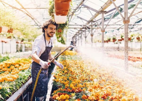 Young gardener watering potted flowers with a sprinkler in the nursery