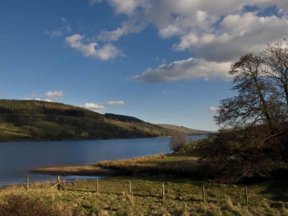 Gouthwaite Wildlife Centre