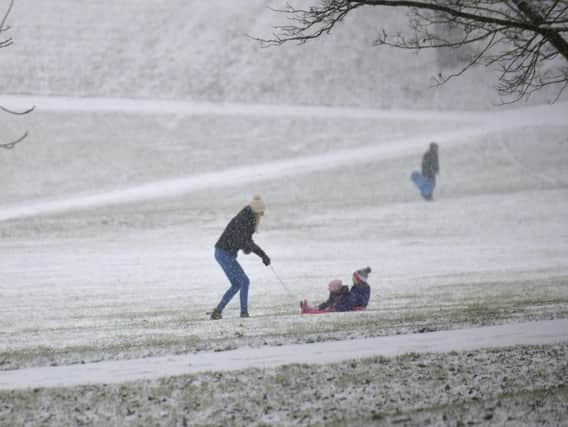 Sledgers brave the cold