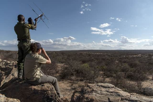 Tracking rhino in the Sera Sanctuary.  PA Photo/Renato Granieri.